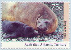 femelle et son jeune