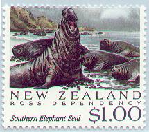 un m&acirc;le et son harem