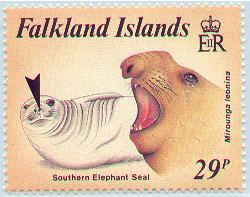 m&acirc;le et femelle