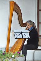 Harpiste