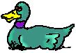 canard