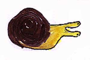 escargot